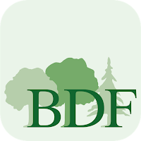 BDF