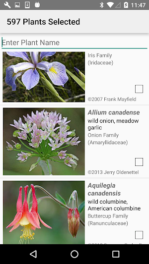 Missouri Wildflowers Screenshot 2