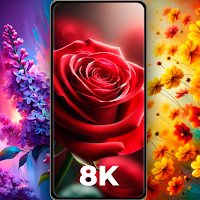 Flower Wallpapers Rose 4K - HD