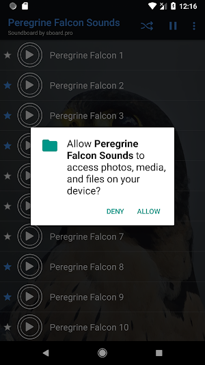 Peregrine Falcon Sounds ~ Sboard.pro Screenshot 1