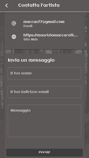 Maurizio Maccarelli Screenshot 2