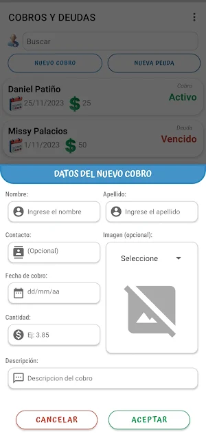 Collections and Debts Screenshot 1
