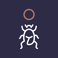MyDungBeetle Reporter