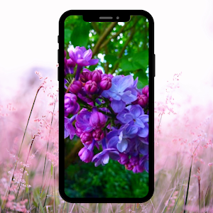 flower wallpaper Screenshot 2