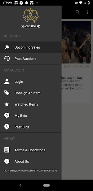 Magic Horse Auction Screenshot 3
