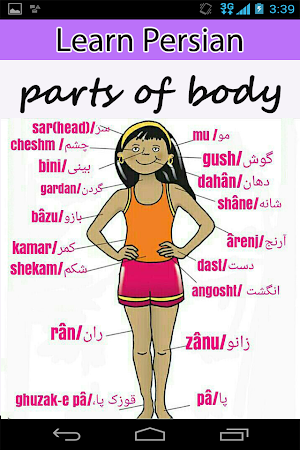 Learn Persian Spoken in English Screenshot 2