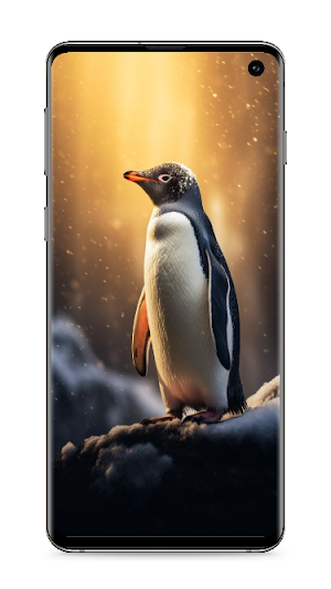Animal Wallpapers Screenshot 2