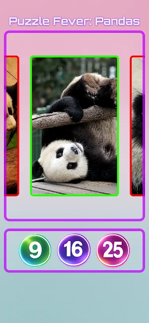 Puzzle Fever: Pandas Screenshot 0