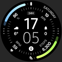 Polar Watch Face