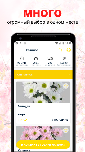Магазин Цветы-Подарки | Черкес Screenshot 0
