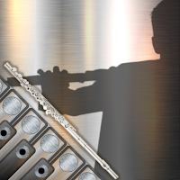 Flute Sim