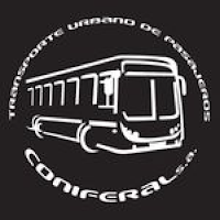 Coniferal