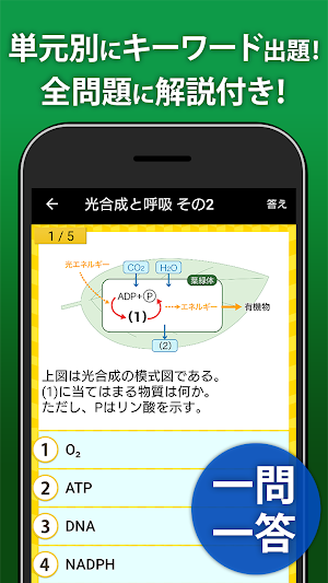 生物 一問一答＆演習問題 - 高校生の勉強アプリ Screenshot 1
