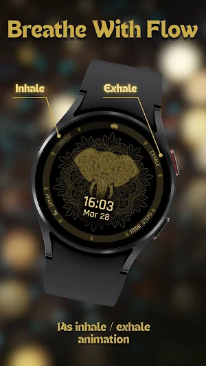 Echo of Mandala Watch Face Screenshot 1