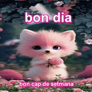 Bon dia imatges Screenshot 1