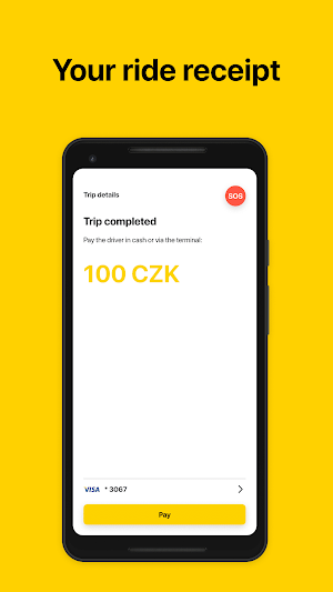 City Taxi Brno, 24/7 Screenshot 3