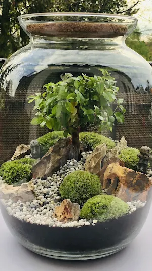 Terrarium Wallpapers Screenshot 2