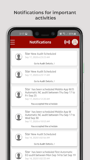 E-Audit Screenshot 3