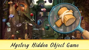 Little Secreat Hidden Object Screenshot 0