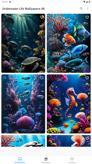 Underwater Life Wallpapers 4K Screenshot 2