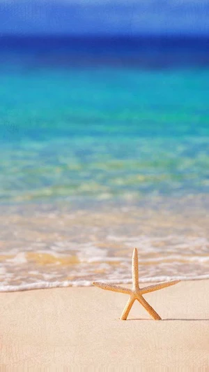 Bintang Laut Wallpaper Yi Screenshot 1