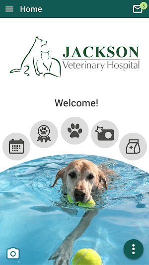 Jackson Vet Hospital Screenshot 0