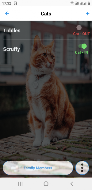 Cat In Out Screenshot 0