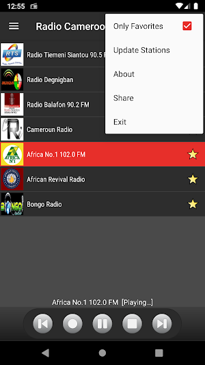 RADIO CAMEROON Screenshot 2
