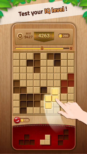 WoodPuz - Wood Block Puzzle Screenshot 0