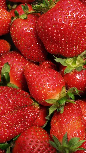 Fruit Picking Wallpaper Screenshot 0