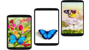 butterfly wallpaper Screenshot 1
