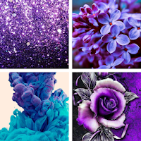 Purple HD Wallpapers