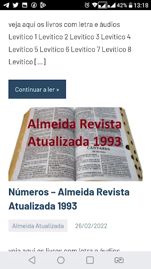 BIBLIA EM PORTUGUÊS  FALADA Screenshot 2