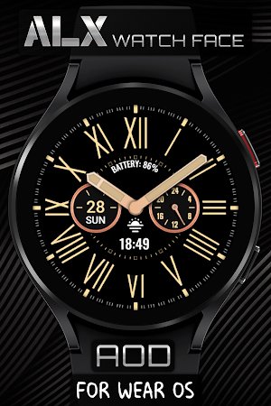 ALX21 Analog Watch Face Screenshot 3
