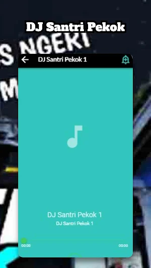 DJ Santri Pekok Screenshot 3