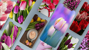 Tulip Wallpaper Screenshot 0