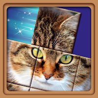 XPicture LF
