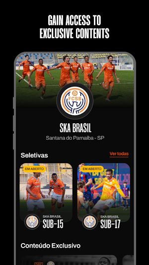 DSFootball Screenshot 1