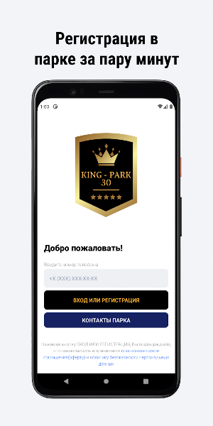KING - PARK 30 Screenshot 1
