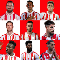 FK Crvena zvezda Wallpaper