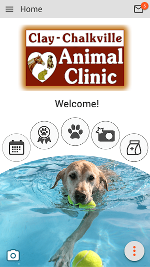 Clay Chalkville Animal Clinic Screenshot 0