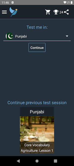 Punjabi Language Tests Screenshot 0
