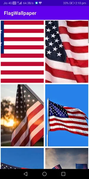 Flag Wallpaper Screenshot 0