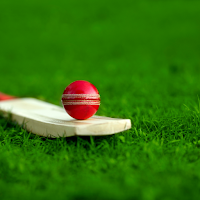 Cricket Wallpaper