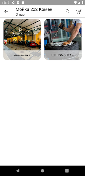 Мойка 2x2 Screenshot 1