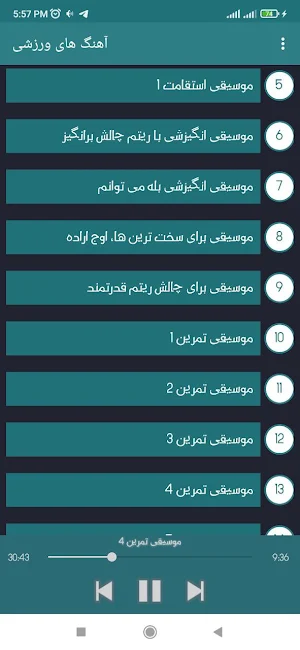 آهنگ های ورزشی ایرانی Screenshot 3