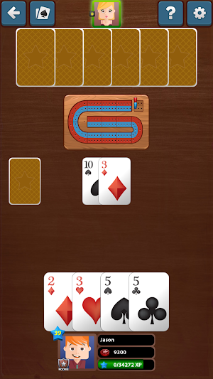 Cribbage Star Screenshot 1