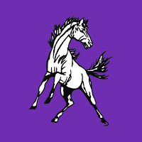 Woodlin School