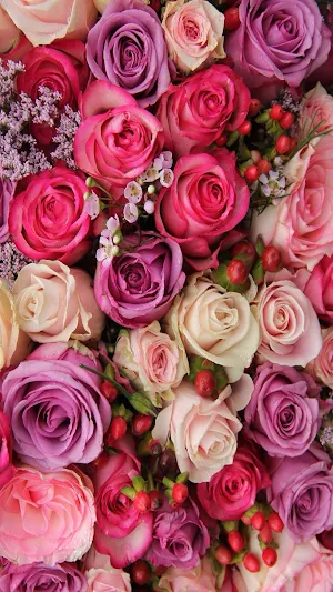 Flower Wallpaper HD Screenshot 2