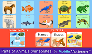 Parts of Animals (Vertebrates) Screenshot 0